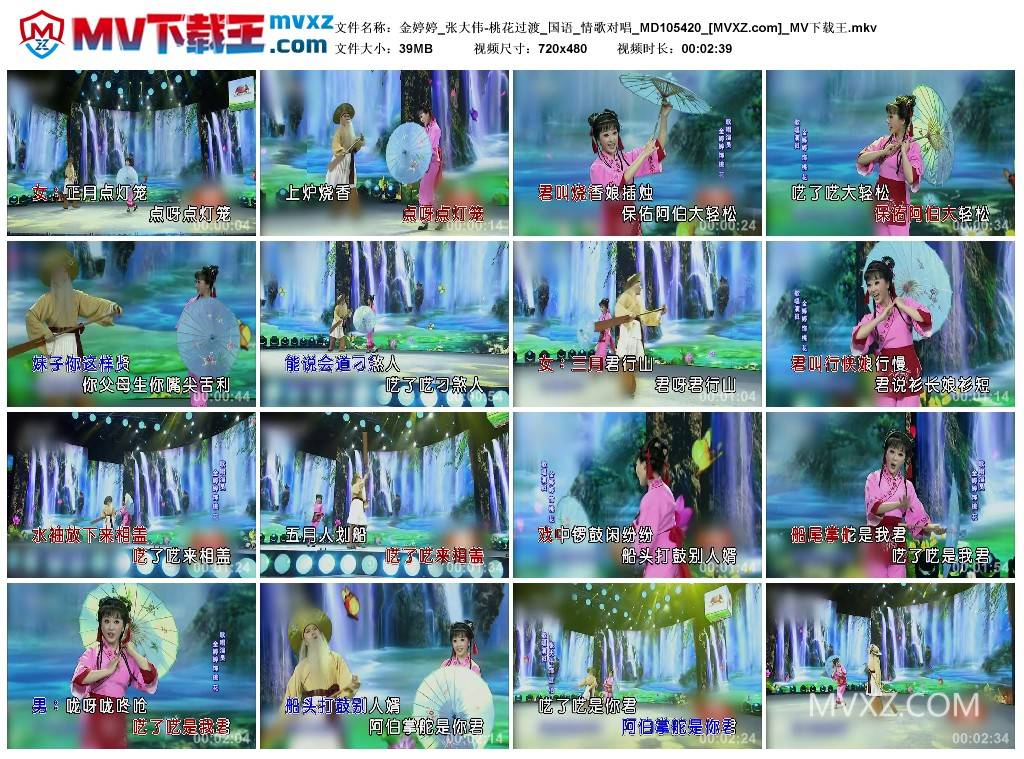 金婷婷_张大伟-桃花过渡_国语_情歌对唱_MD105420